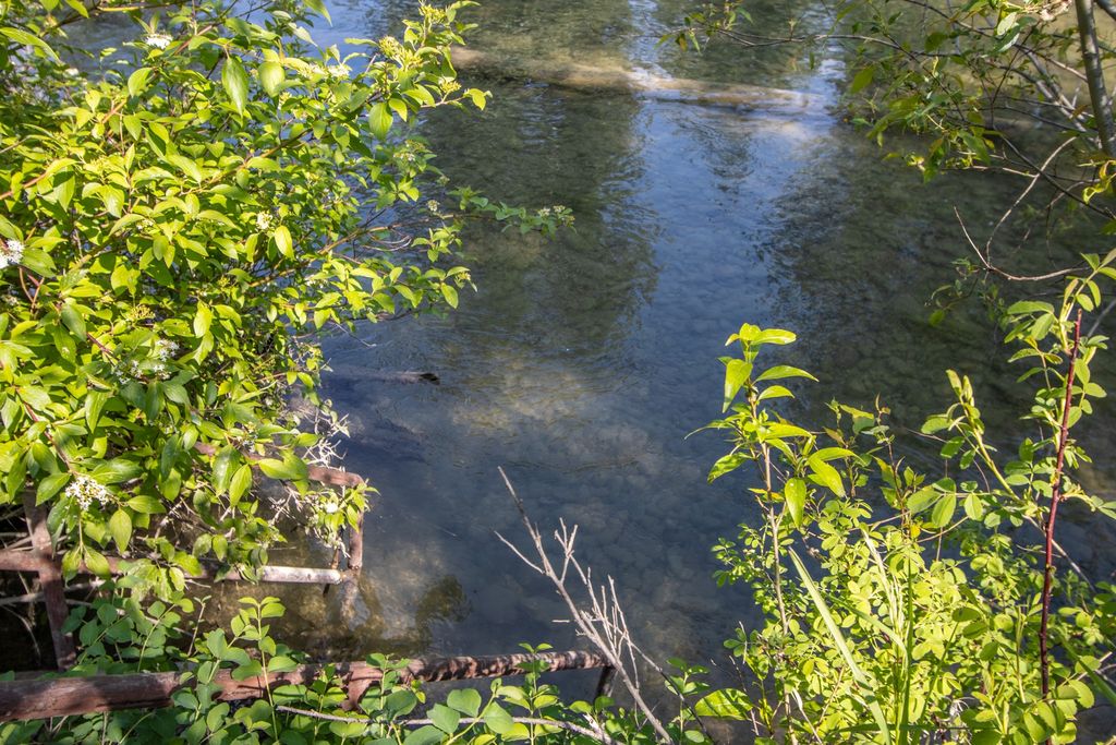 1265 Jellison Road, Columbia Falls, MT 59912 photo 77