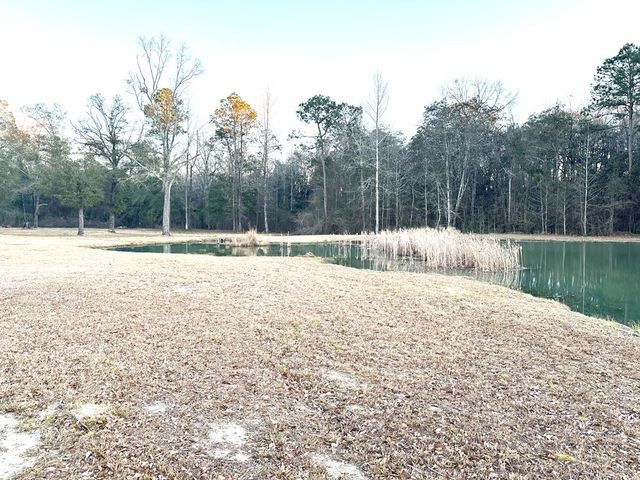 378 County Road 60, Slocomb, AL 36375