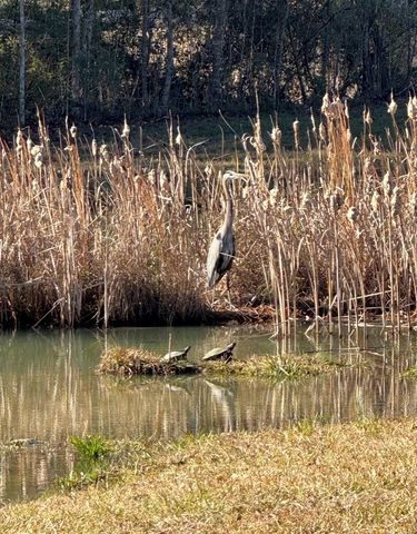 378 County Road 60, Slocomb, AL 36375