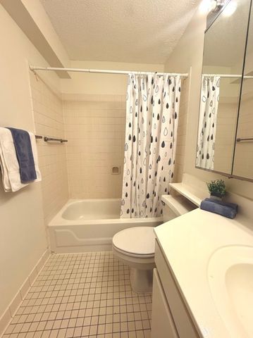 440 N Wabash Avenue 1008, Chicago, IL 60611