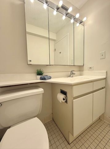 440 N Wabash Avenue 1008, Chicago, IL 60611