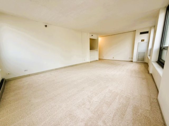 440 N Wabash Avenue 1008, Chicago, IL 60611