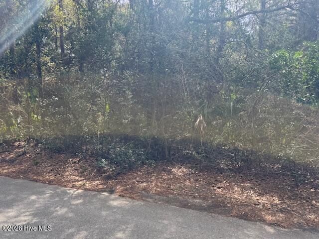 4 Dowitcher Trail, Bald Head Island, NC 28461