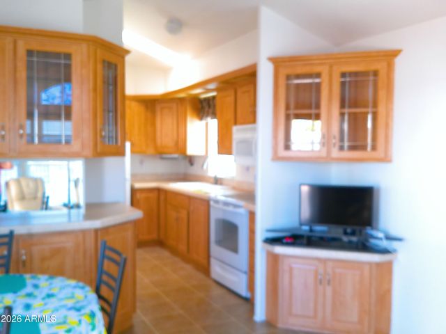 203 NIGHTDIGGER Drive 203, Apache Junction, AZ 85119