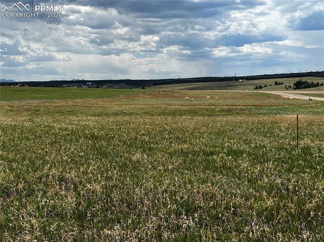 16990 Early Light Drive, Colorado Springs, CO 80908