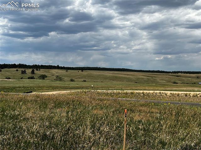 16990 Early Light Drive, Colorado Springs, CO 80908