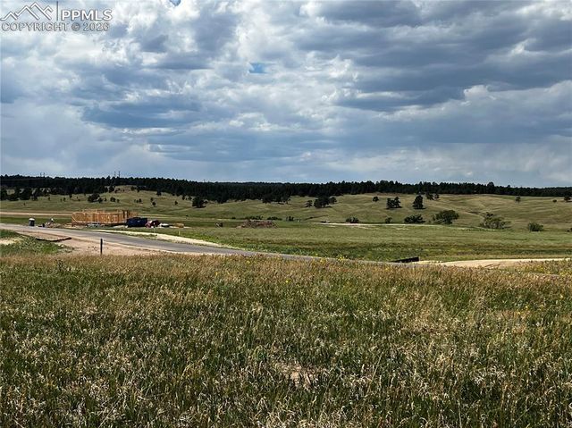 16990 Early Light Drive, Colorado Springs, CO 80908