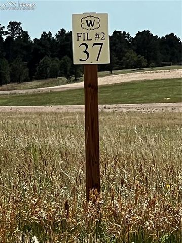 16990 Early Light Drive, Colorado Springs, CO 80908