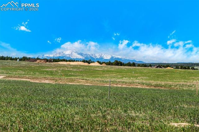 16990 Early Light Drive, Colorado Springs, CO 80908