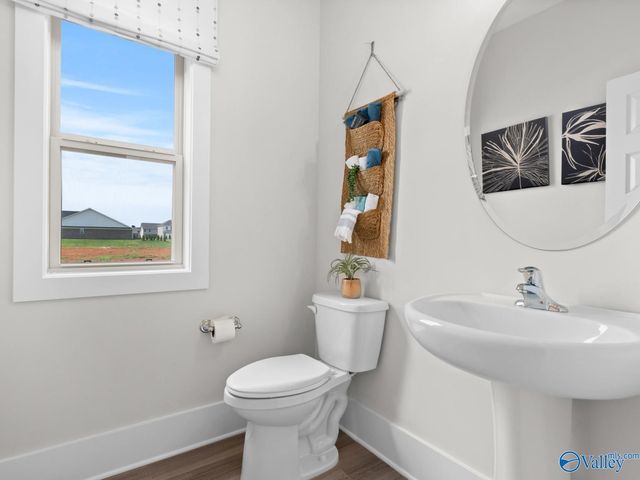 116 Cotita Drive, Toney, AL 35773