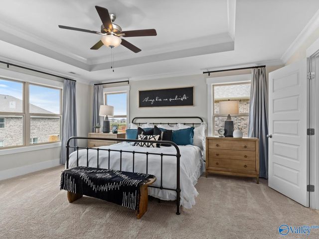 116 Cotita Drive, Toney, AL 35773