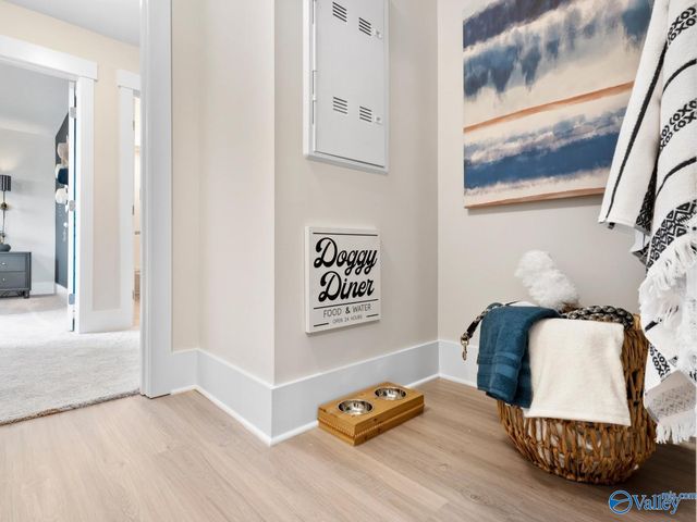 116 Cotita Drive, Toney, AL 35773