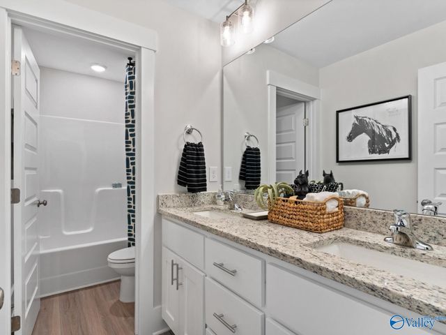 116 Cotita Drive, Toney, AL 35773