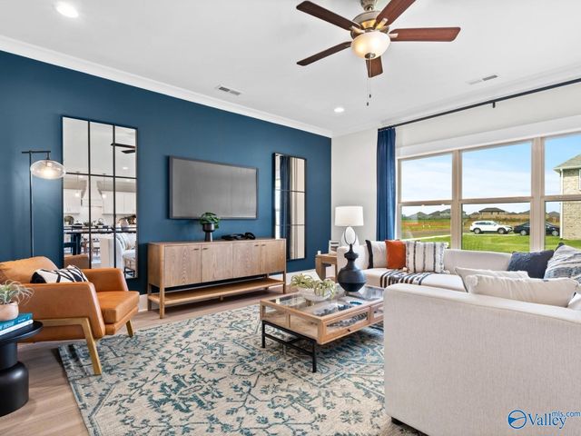 116 Cotita Drive, Toney, AL 35773