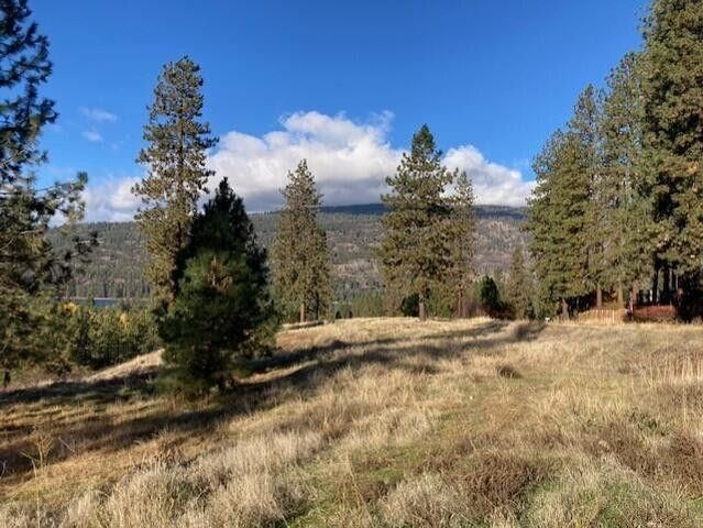 1351 Lake Roosevelt Way, Kettle Falls, WA 99141