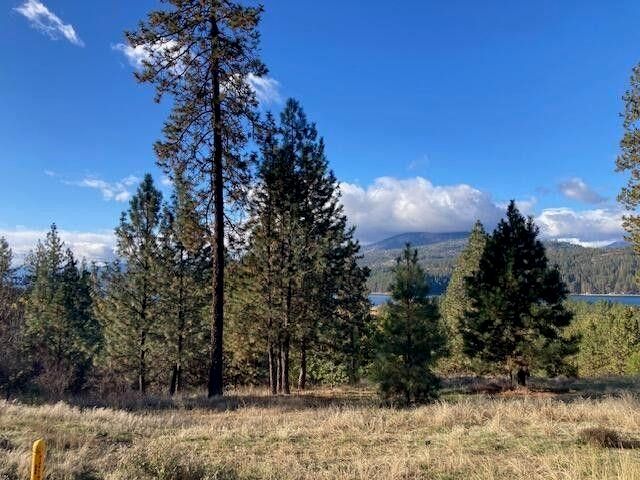 1351 Lake Roosevelt Way, Kettle Falls, WA 99141