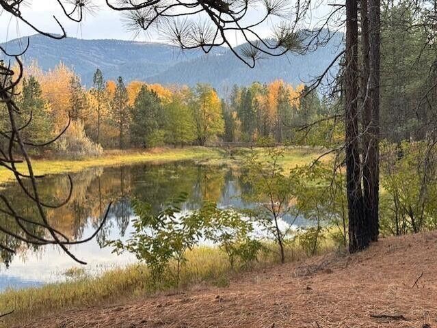 1351 Lake Roosevelt Way, Kettle Falls, WA 99141