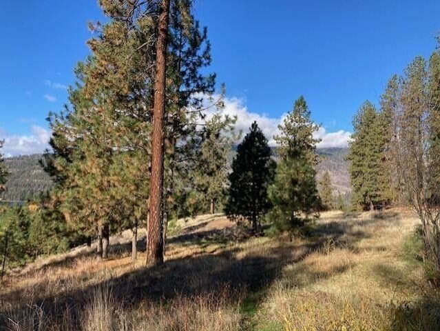 1351 Lake Roosevelt Way, Kettle Falls, WA 99141