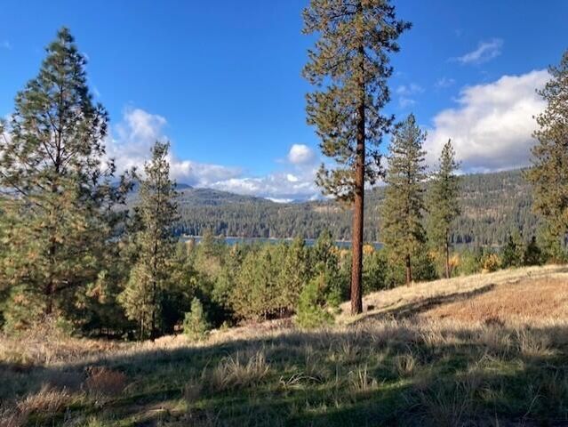 1351 Lake Roosevelt Way, Kettle Falls, WA 99141