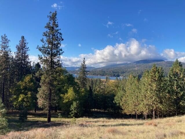 1351 Lake Roosevelt Way, Kettle Falls, WA 99141