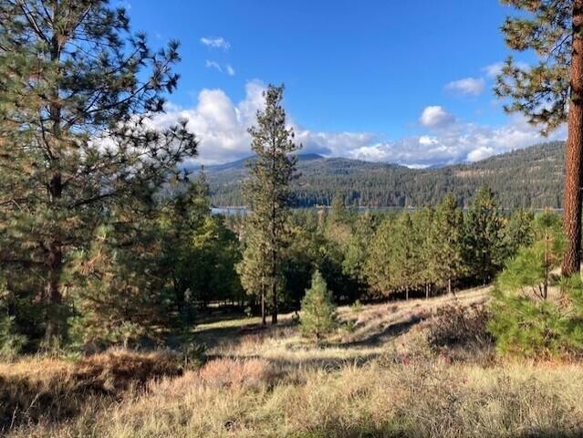 1351 Lake Roosevelt Way, Kettle Falls, WA 99141