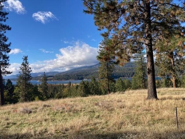 1351 Lake Roosevelt Way, Kettle Falls, WA 99141