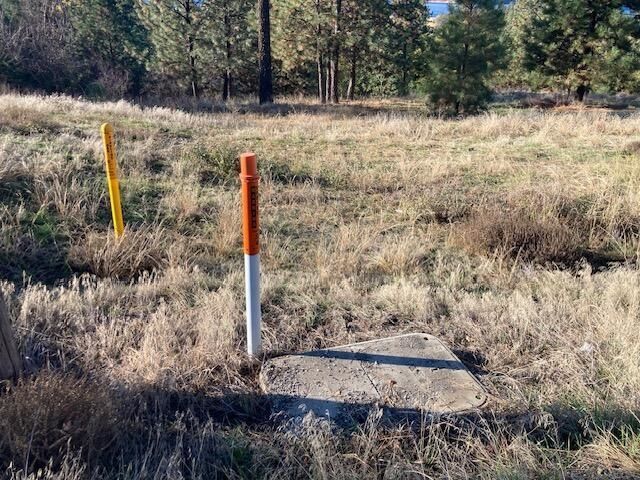 1351 Lake Roosevelt Way, Kettle Falls, WA 99141