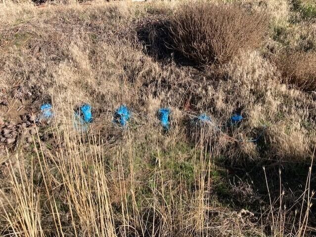 1351 Lake Roosevelt Way, Kettle Falls, WA 99141