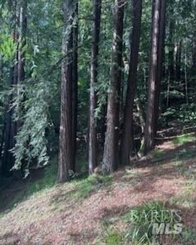 18349 Neeley Rd, Guerneville, CA 95446