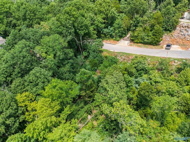 16012 Greentree Trail SE, Huntsville, AL 35803