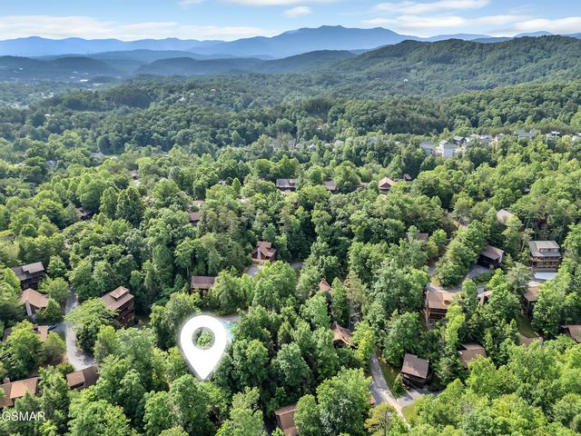 709 Gray Hawk Way, Pigeon Forge, TN 37863