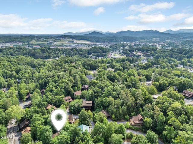 709 Gray Hawk Way, Pigeon Forge, TN 37863