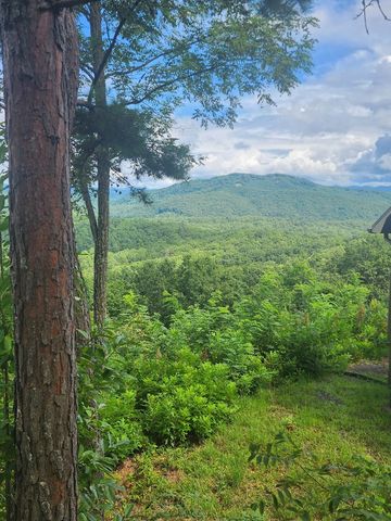00 Soaring Eagle, Murphy, NC 28906