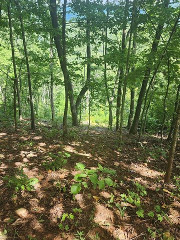 00 Soaring Eagle, Murphy, NC 28906