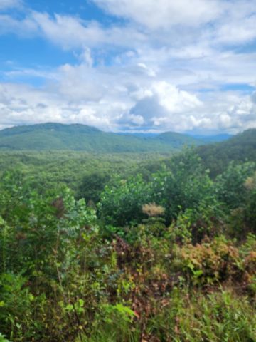 00 Soaring Eagle, Murphy, NC 28906