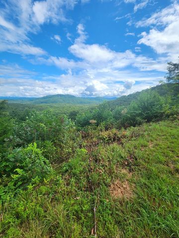 00 Soaring Eagle, Murphy, NC 28906