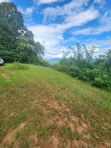 00 Soaring Eagle, Murphy, NC 28906