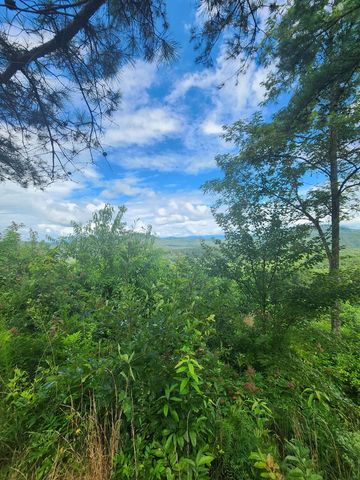 00 Soaring Eagle, Murphy, NC 28906