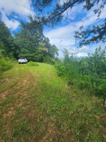 00 Soaring Eagle, Murphy, NC 28906