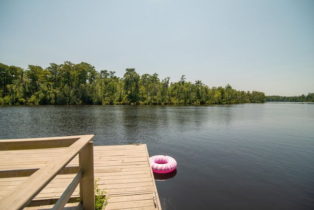 745 Francis Marion Dr., Georgetown, SC 29440