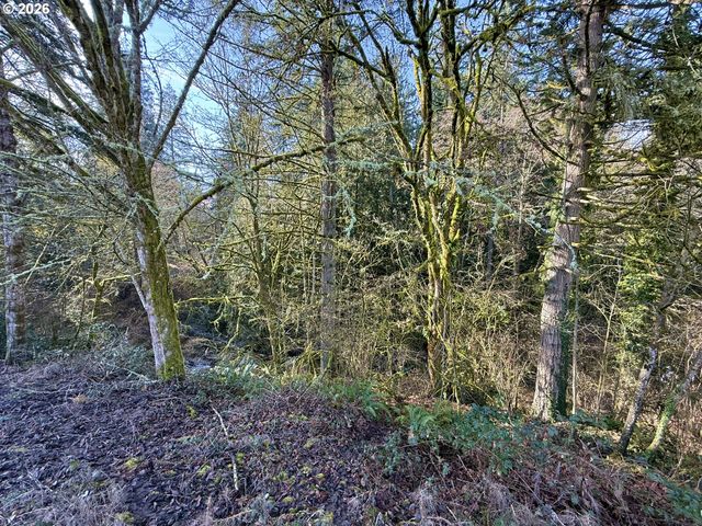 11501 Nw 10TH Ct 4, Vancouver, WA 98685