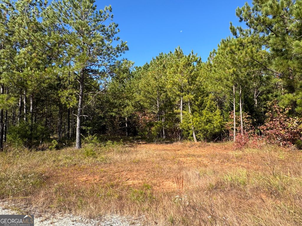 0 Crystal Drive, Elberton, GA 30635 — photo 2