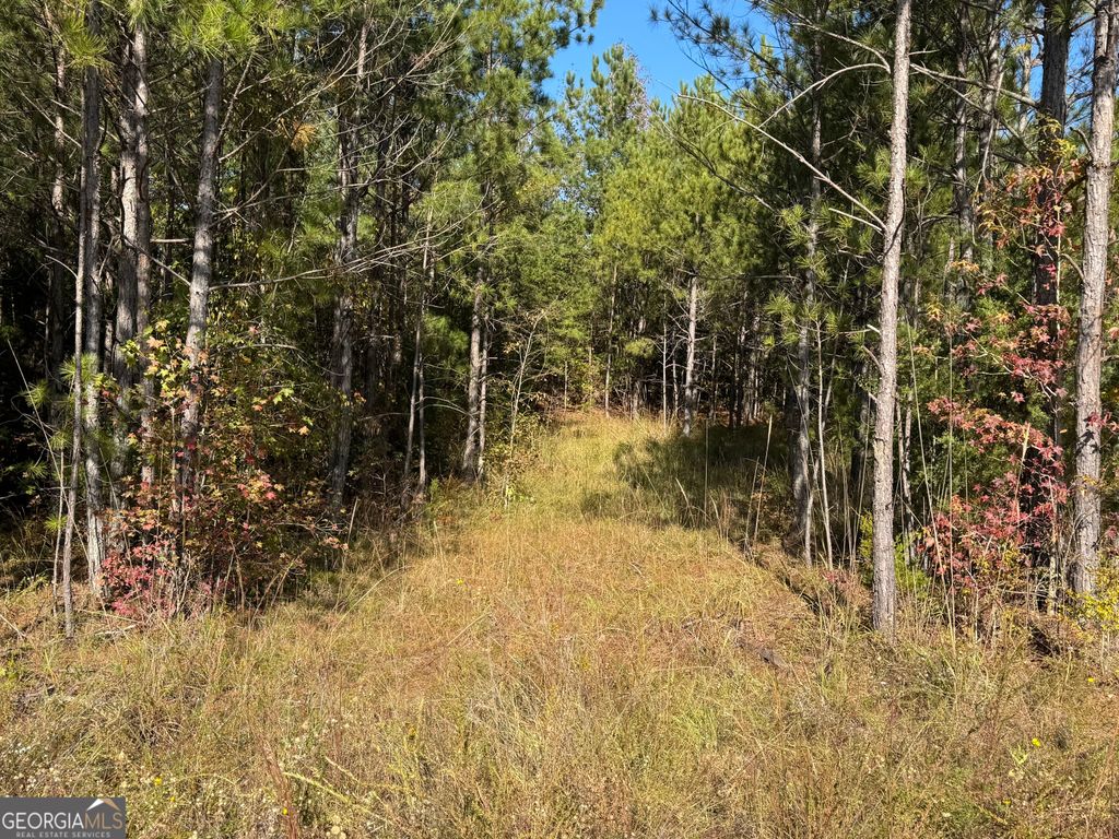 0 Crystal Drive, Elberton, GA 30635 — photo 4