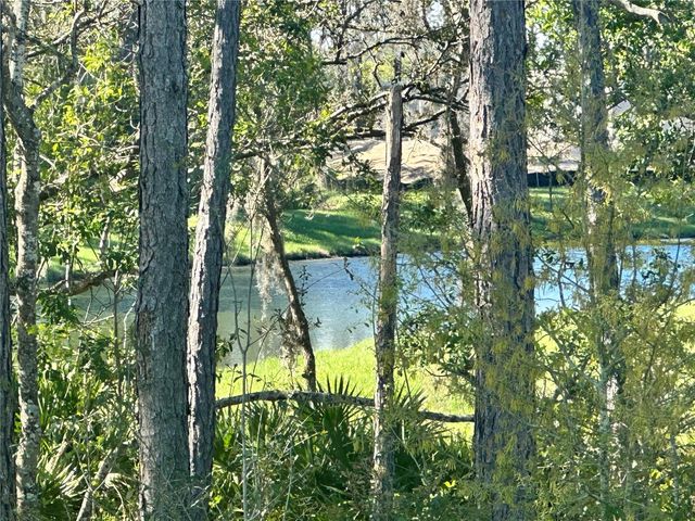 18386 OLIVER TWIST WAY, Winter Garden, FL 34787