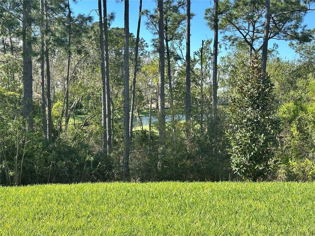 18386 OLIVER TWIST WAY, Winter Garden, FL 34787