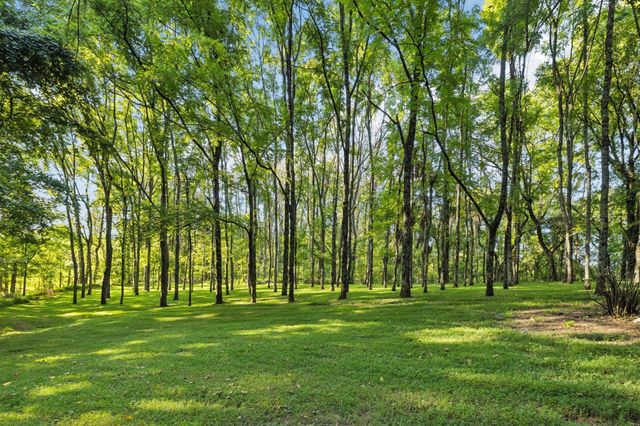 6633 Pinkston Rd, College Grove, TN 37046