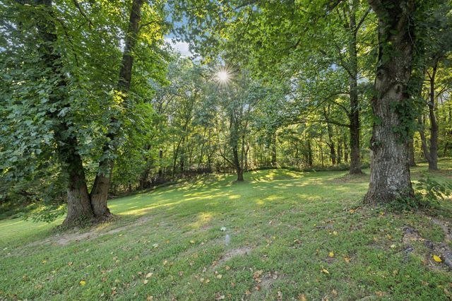 6633 Pinkston Rd, College Grove, TN 37046