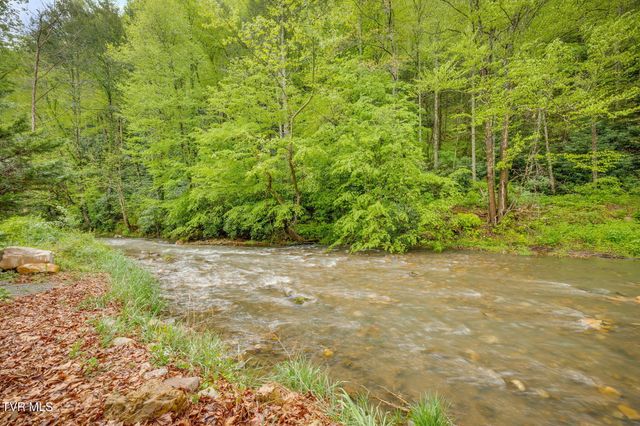 1226 Doe Creek Road, Butler, TN 37640