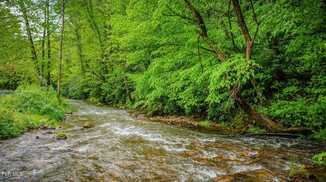 1226 Doe Creek Road, Butler, TN 37640