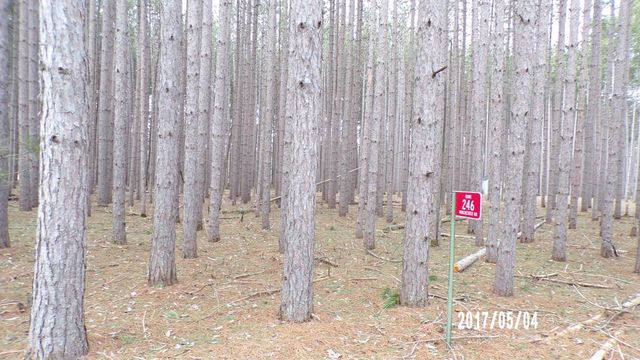 246 Winchester Road, Nekoosa, WI 54457